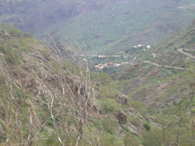 DSC02969