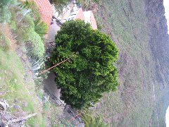 IMG_0167.JPG